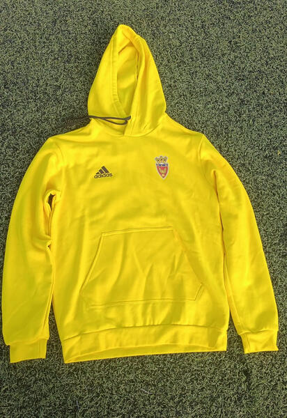 Sweatshirt 30€